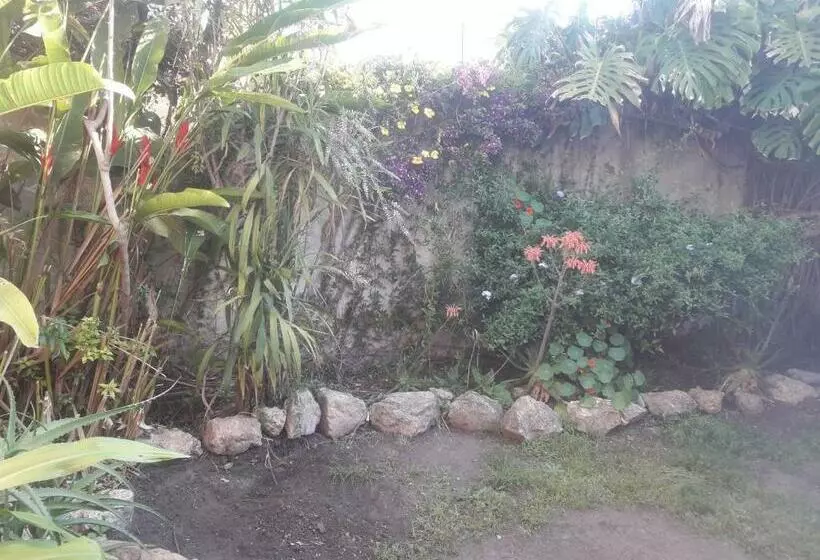 ペンション Casa Del Arbol Hostel