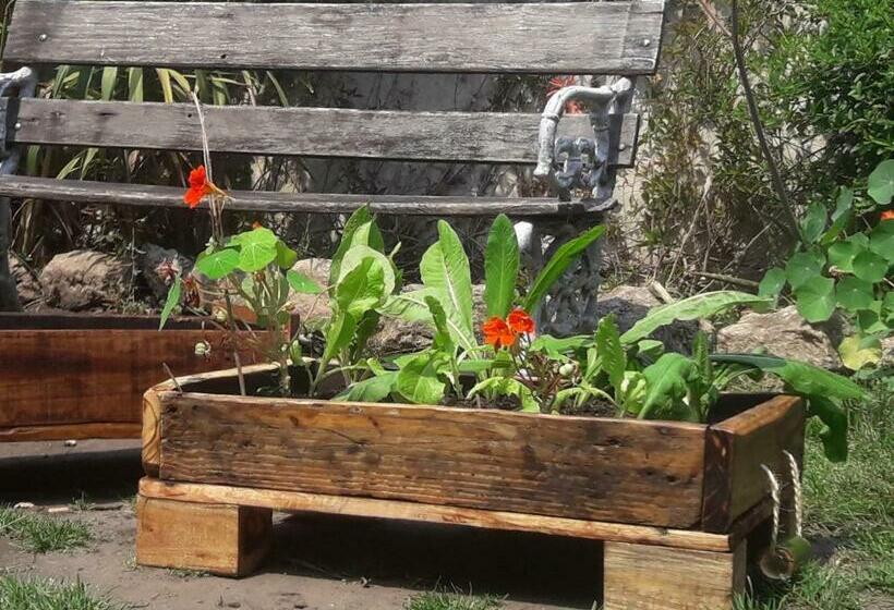 Pension Casa Del Arbol Hostel