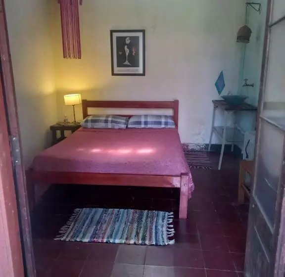 ペンション Casa Del Arbol Hostel