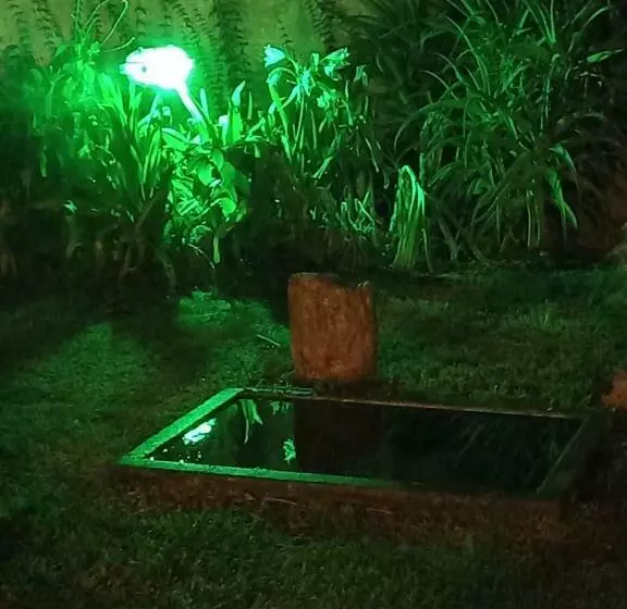ペンション Casa Del Arbol Hostel
