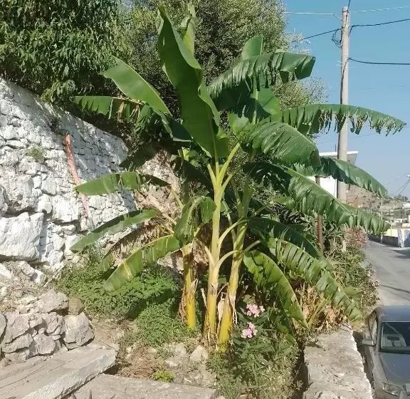 پانسیون Vogklis House