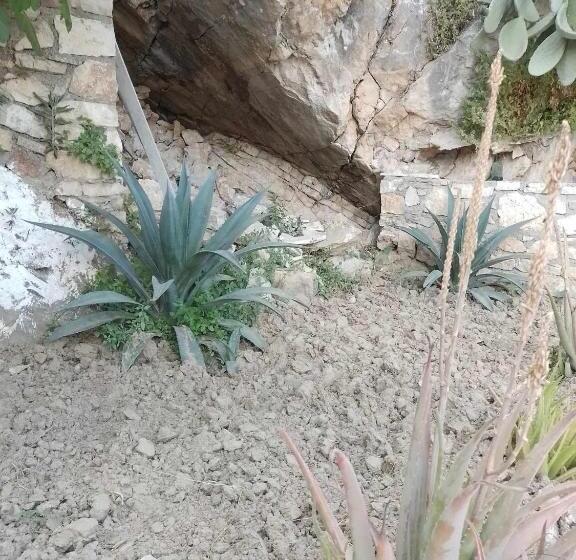 بنسيون Vogklis House