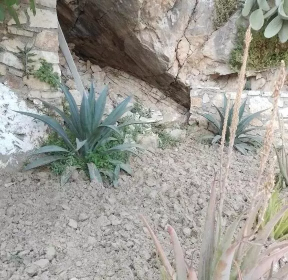پانسیون Vogklis House