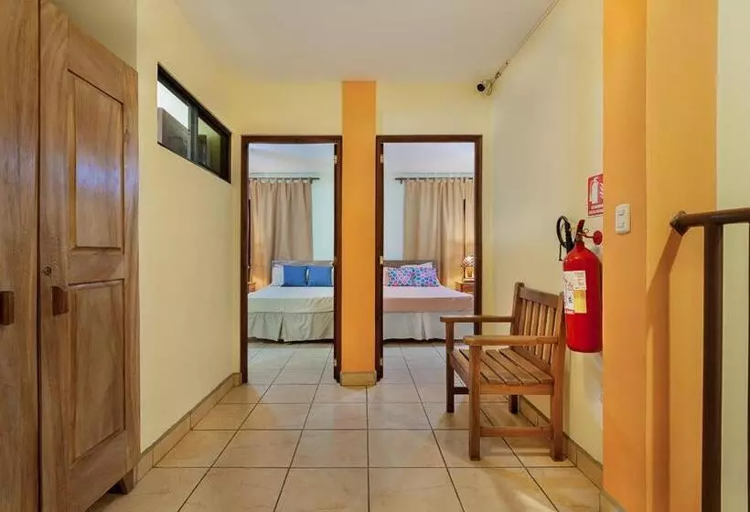 ホテル Hostel Tropical And Coworking