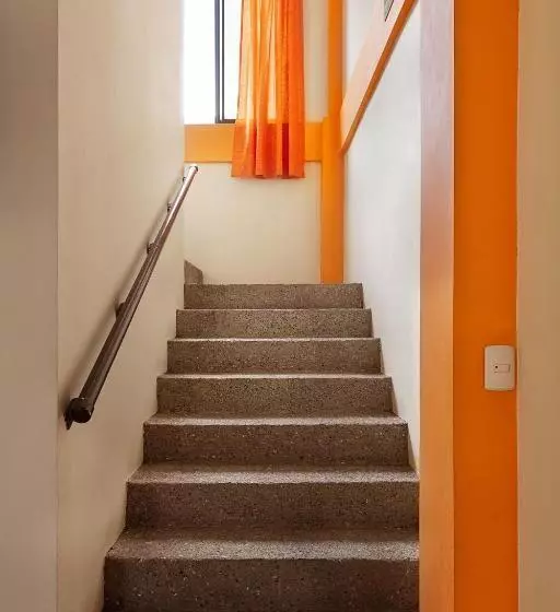 ホテル Hostel Tropical And Coworking