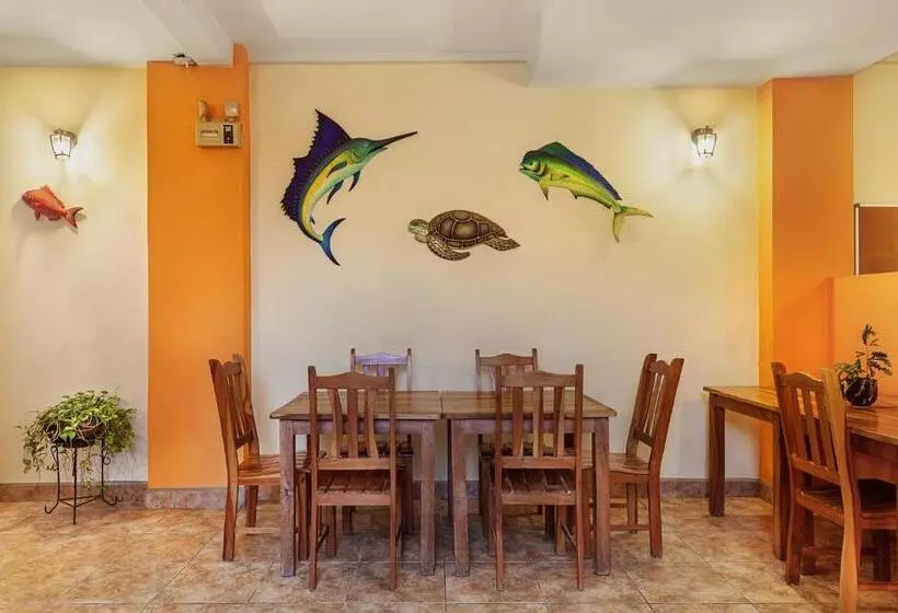 ホテル Hostel Tropical And Coworking