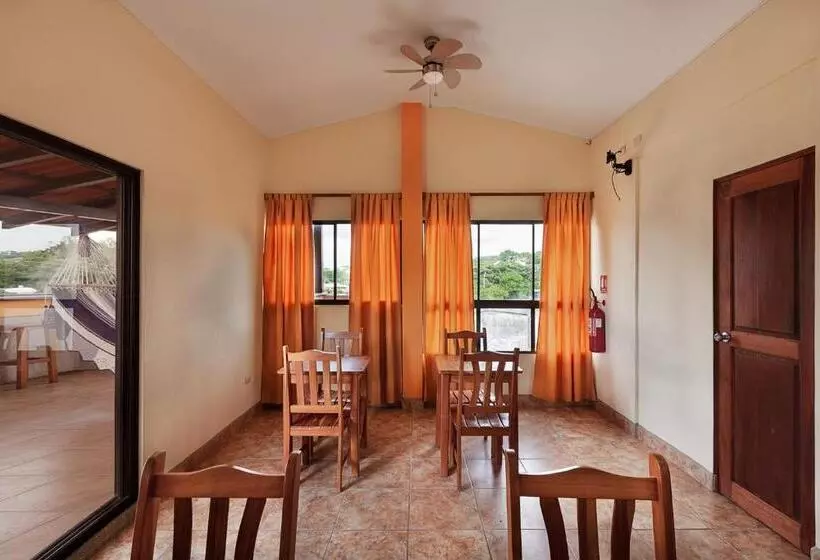 ホテル Hostel Tropical And Coworking