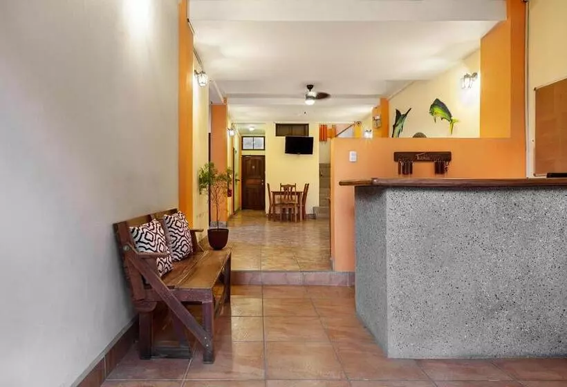 ホテル Hostel Tropical And Coworking