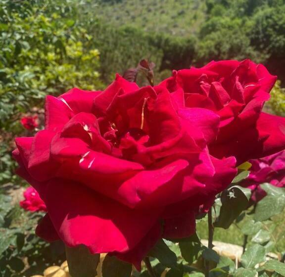 펜션 Podere Belsogno Miniappartamento Roseto