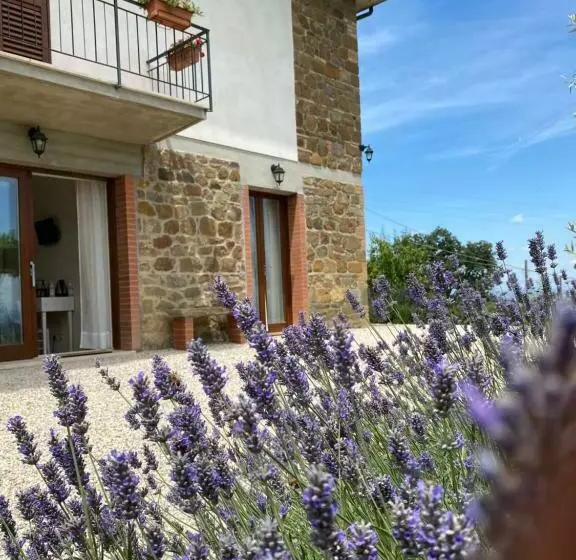 ペンション Podere Belsogno Miniappartamento Roseto