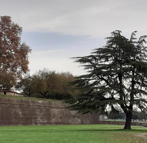 تختخواب و صبحانه Dimora Altemura