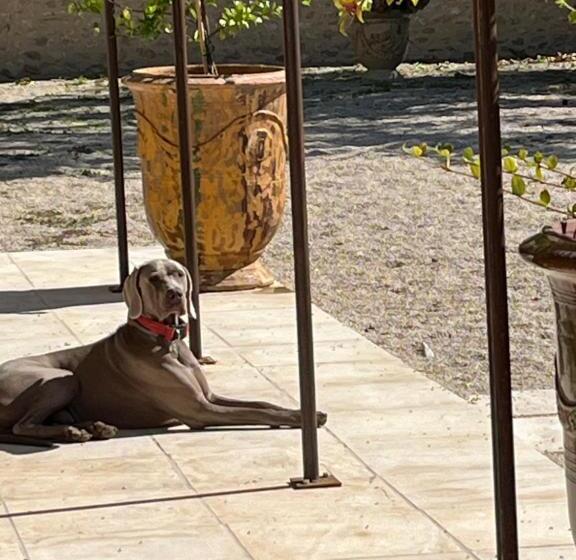 ベッドアンドブレックファースト Mas Galinette