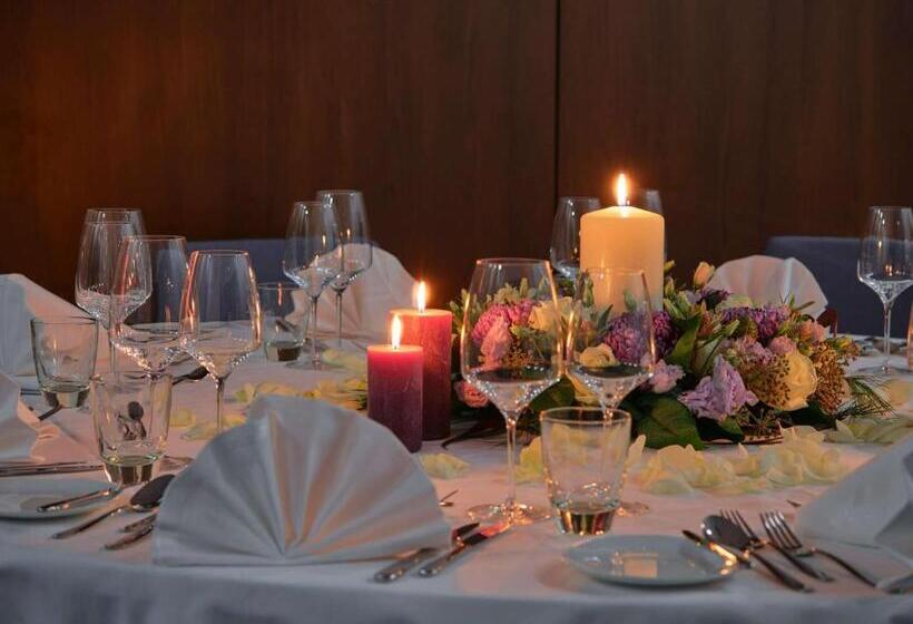 Dorint Parkhotel Frankfurt / Bad Vilbel