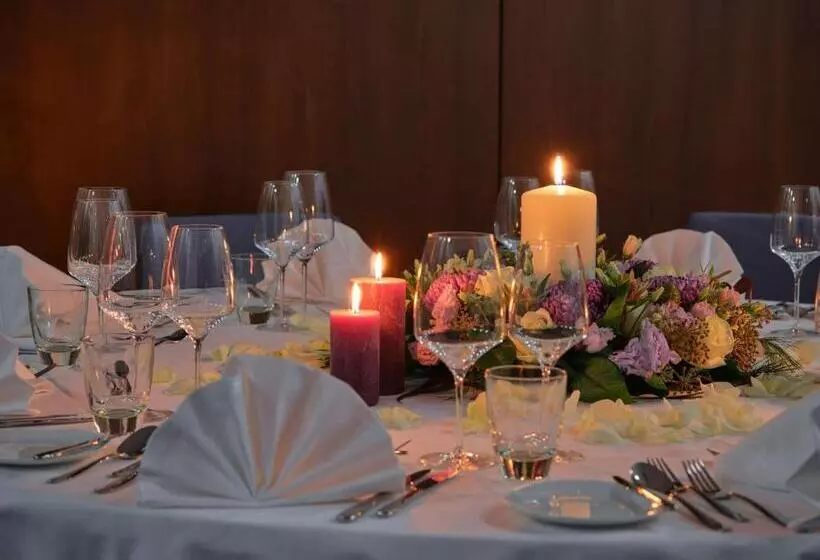 Dorint Parkhotel Frankfurt / Bad Vilbel