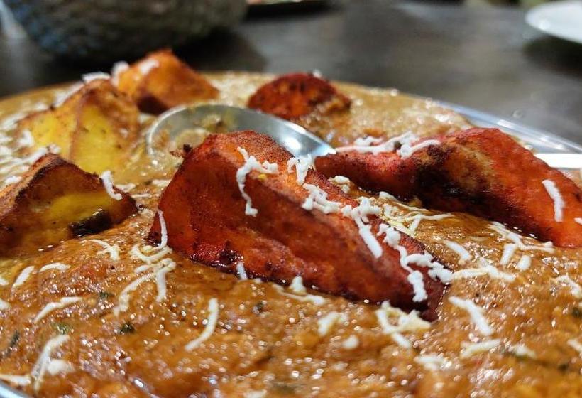 Отель Maihar Inn