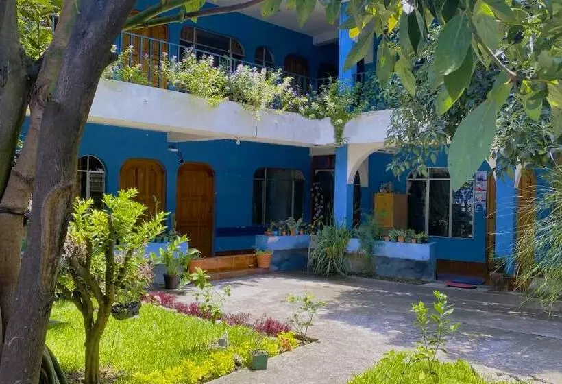 هتل Posada Don Carlos