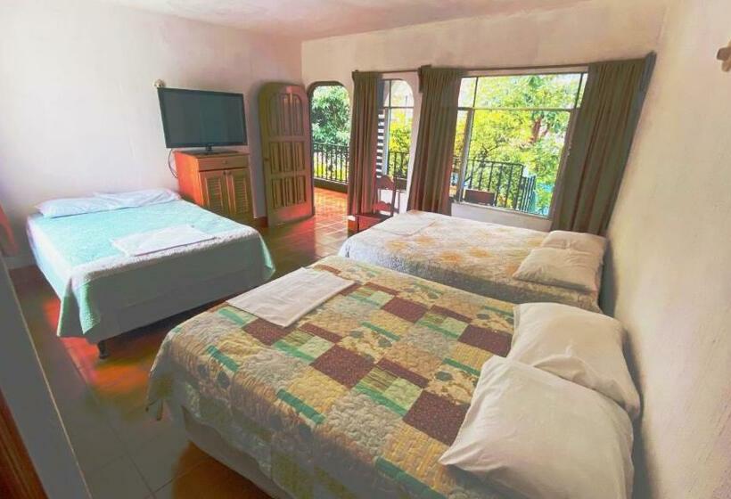 هتل Posada Don Carlos