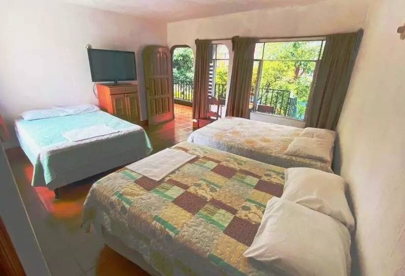 هتل Posada Don Carlos