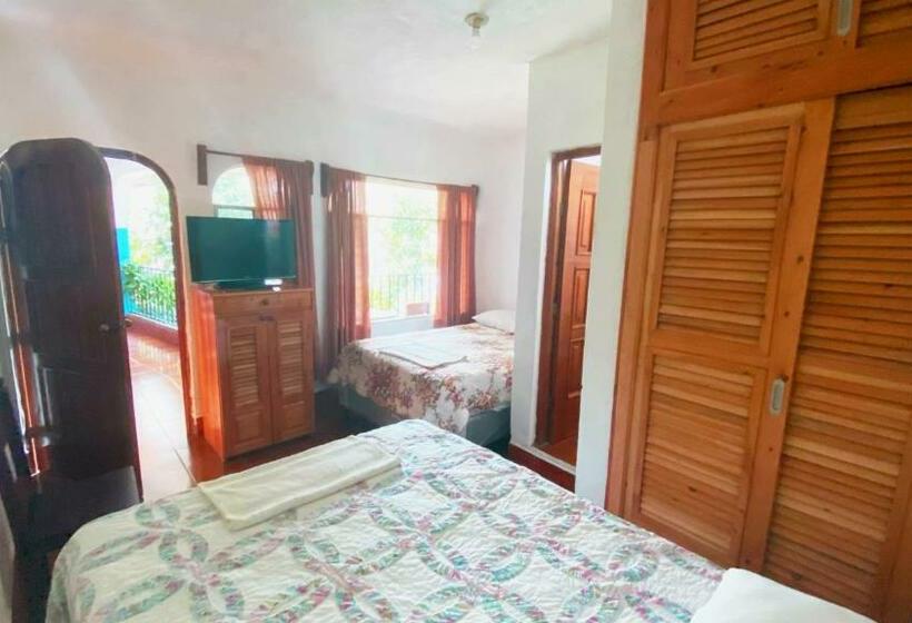 هتل Posada Don Carlos