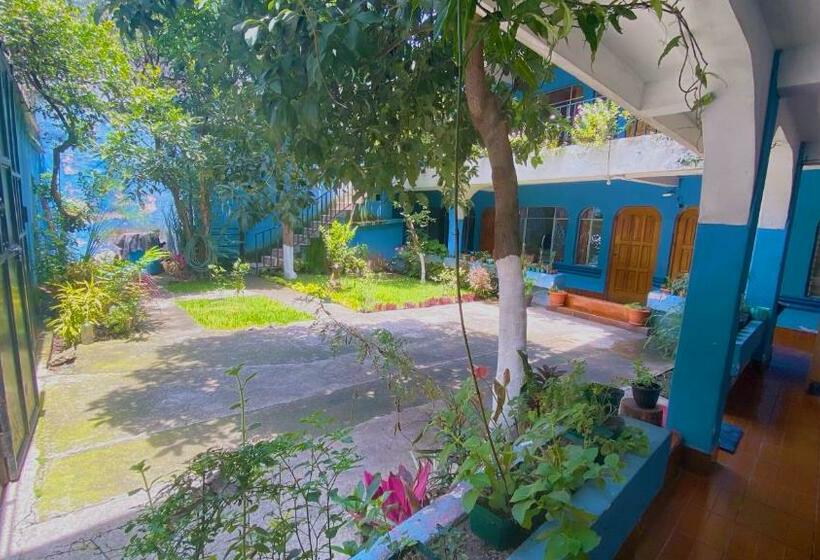 هتل Posada Don Carlos