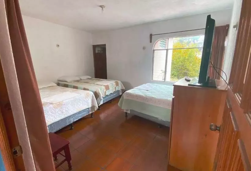 هتل Posada Don Carlos