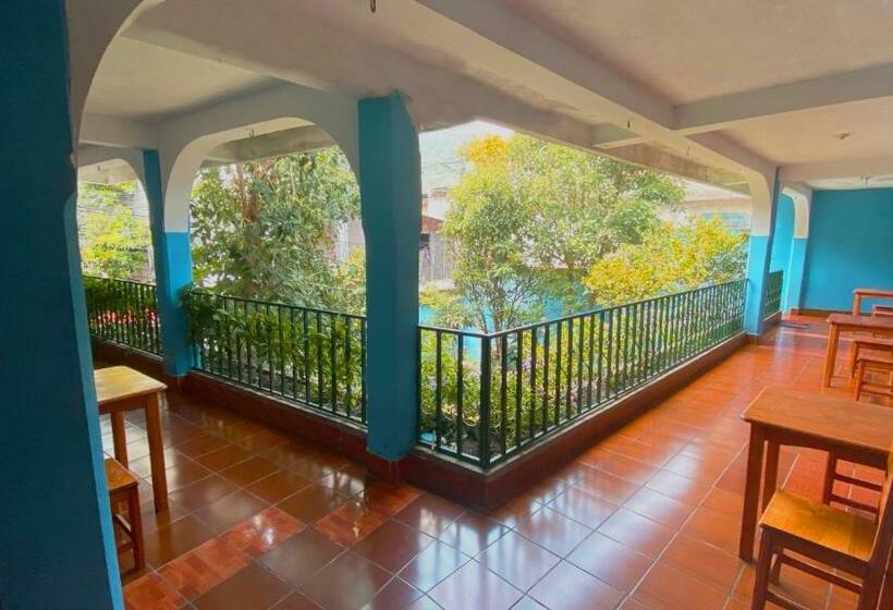 هتل Posada Don Carlos