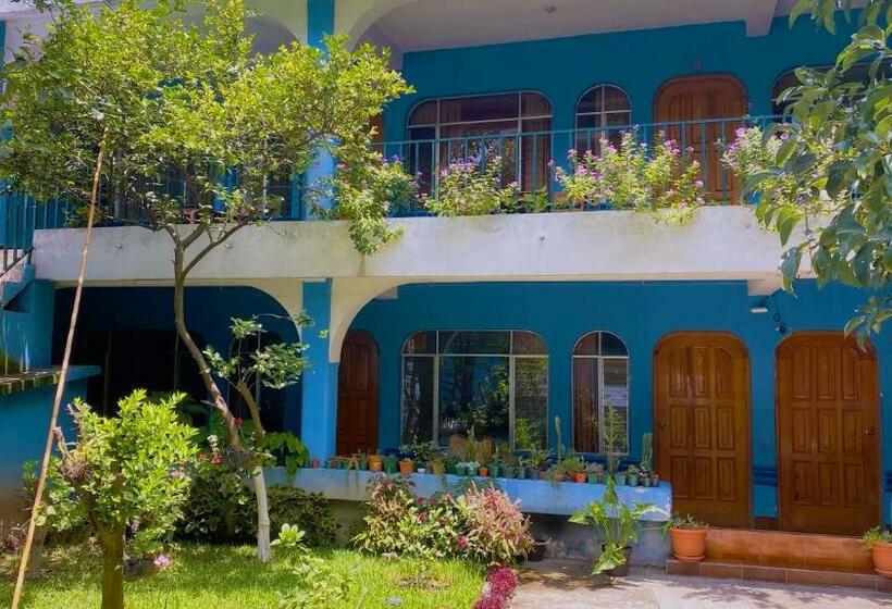 هتل Posada Don Carlos