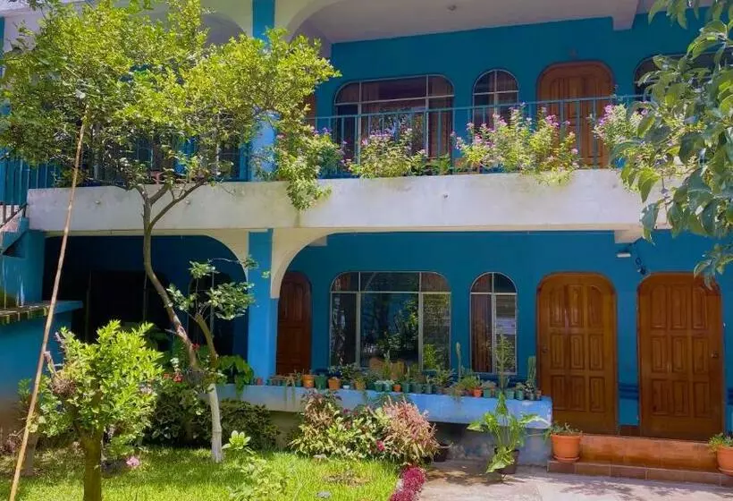 هتل Posada Don Carlos