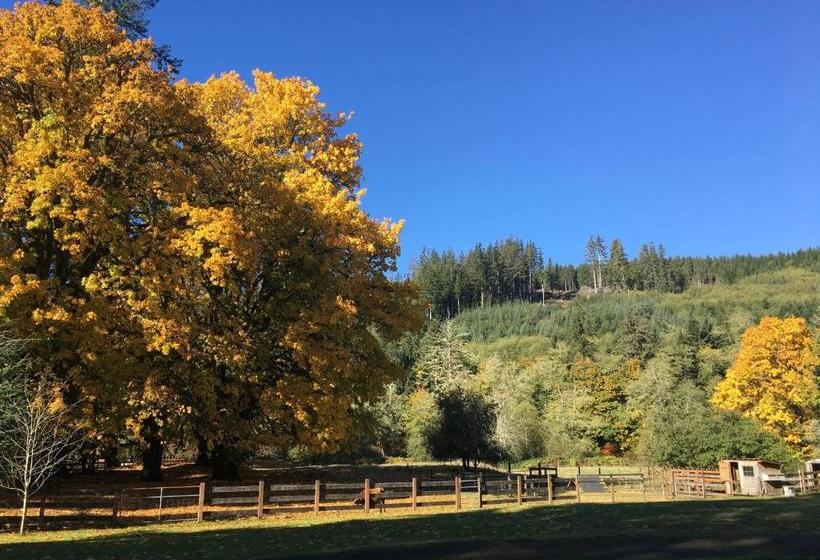 פנסיון The Cabins At Beaver Creek