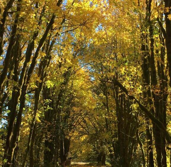 פנסיון The Cabins At Beaver Creek