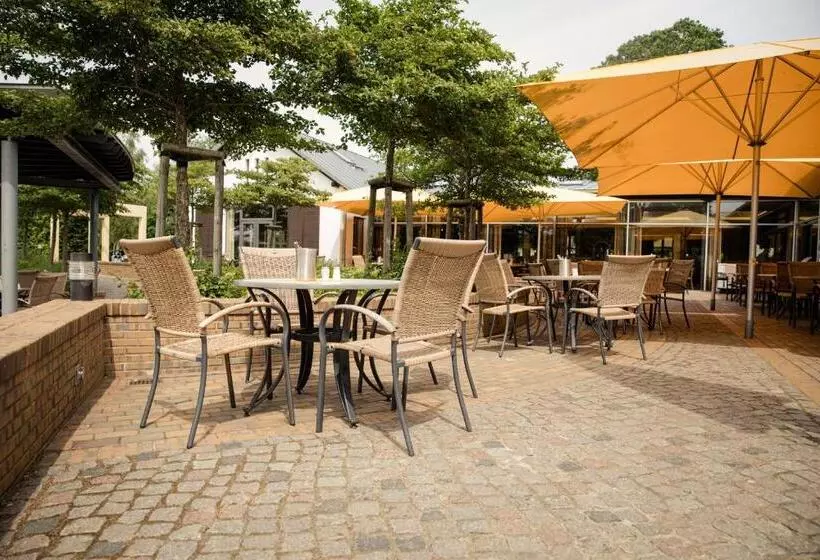 Familien Wellness Hotel Seeklause Mit Großem Abenteuerspielplatz Piraten Insel Usedom Kinder Immer A