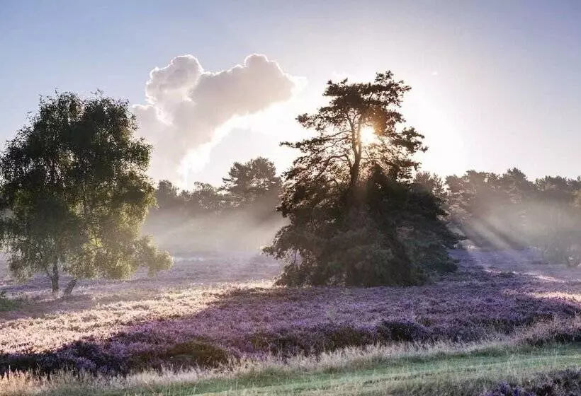 فندق Acht Linden