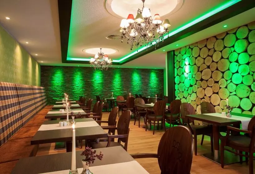 Best Western Plus Hotel Willingen