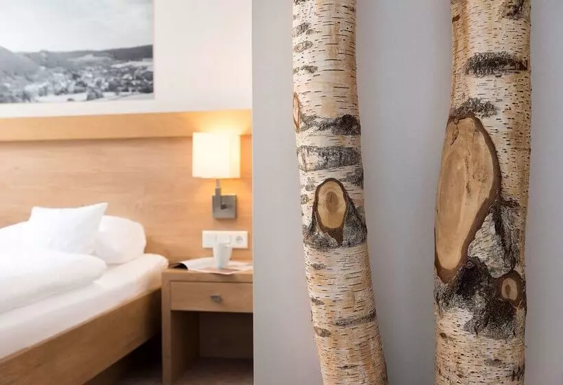 Best Western Plus Hotel Willingen