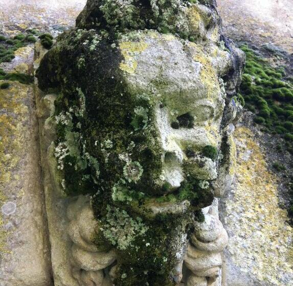 فندق Château De Saint Loup