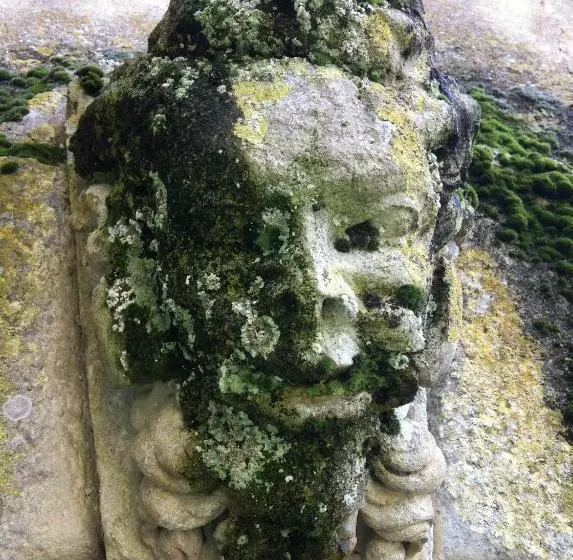 酒店 Château De Saint Loup