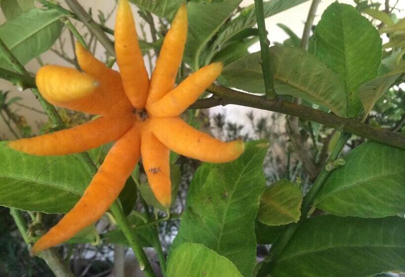فندق Château De Saint Loup
