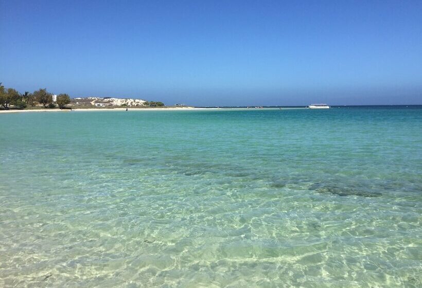 ホテル Discovery Parks  Coogee Beach