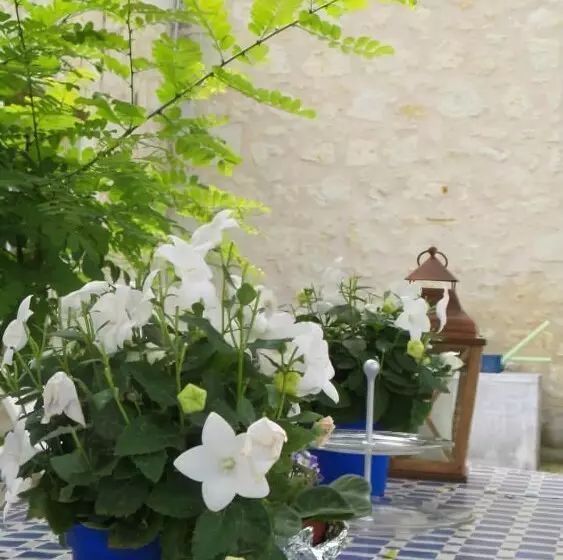 ホテル Le Clos De La Chapelle