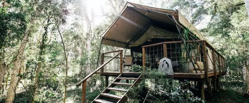 酒店 Paperbark Camp