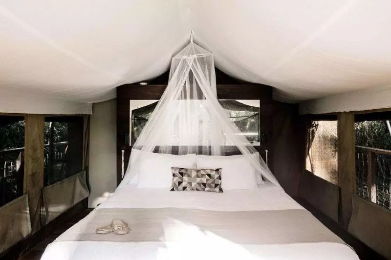 酒店 Paperbark Camp