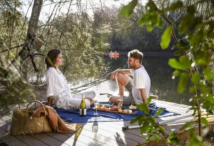 酒店 Paperbark Camp