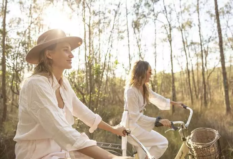 酒店 Paperbark Camp