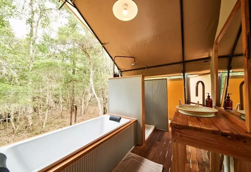 酒店 Paperbark Camp