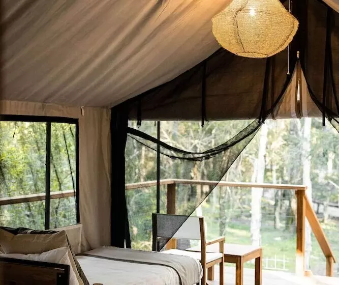 酒店 Paperbark Camp