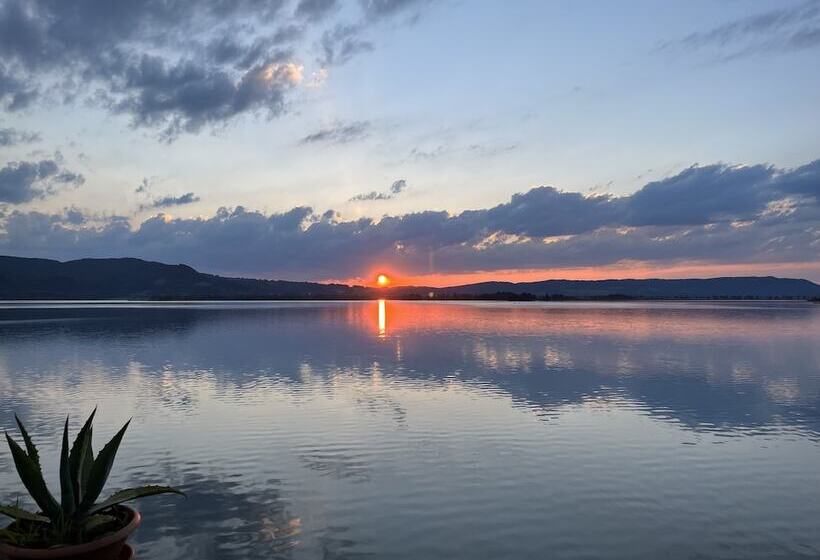 Seehotel Grauer Bär
