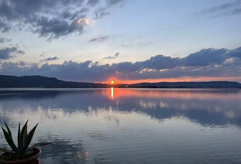 Seehotel Grauer Bär