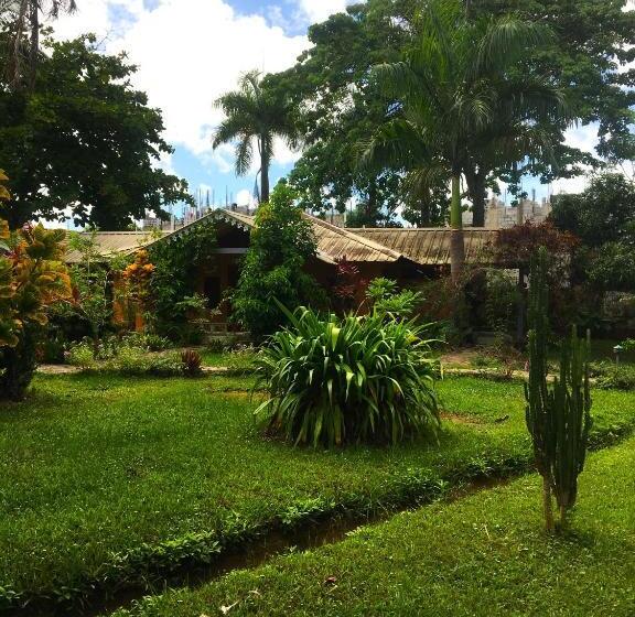 هاستل Fata Morgana Eco