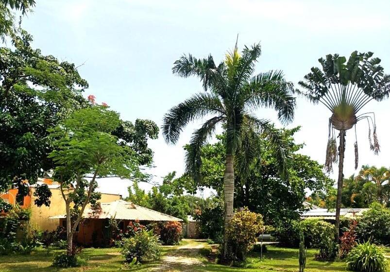 هاستل Fata Morgana Eco