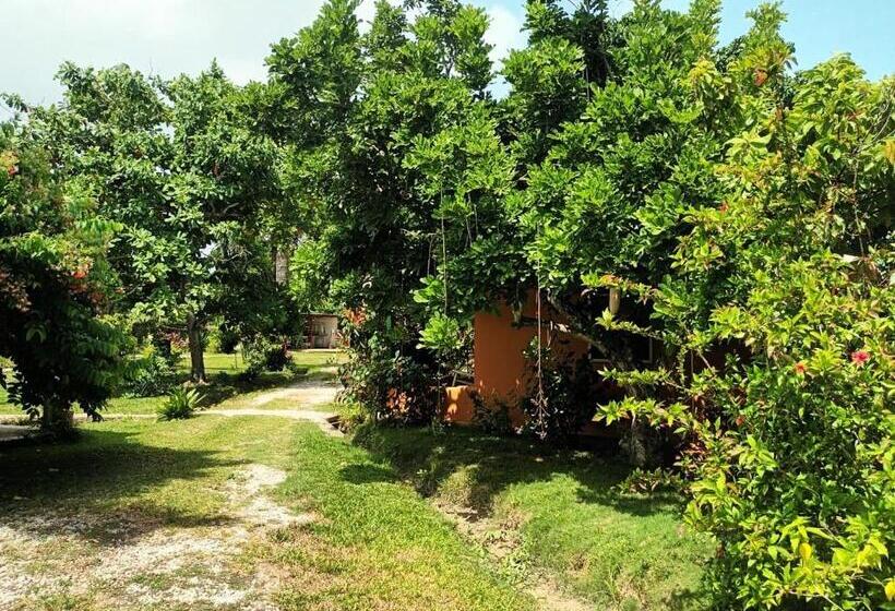 هاستل Fata Morgana Eco